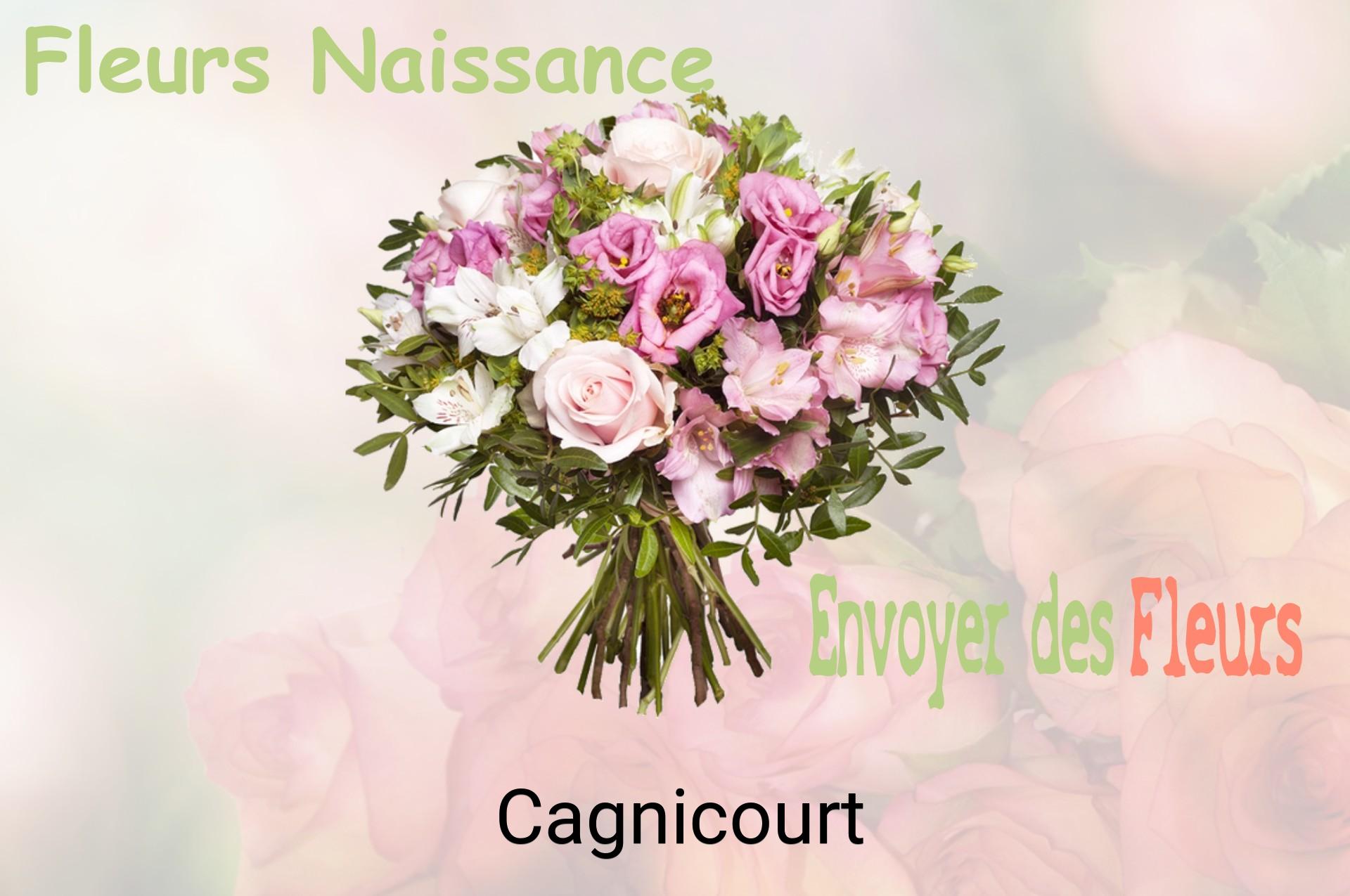 Bouquet de fleurs de naissance livré à Cagnicourt